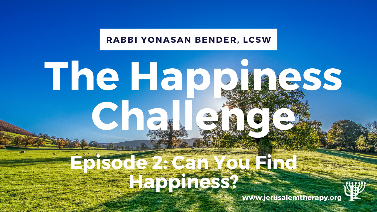 Read more about the article Can You “Find” Happiness?
