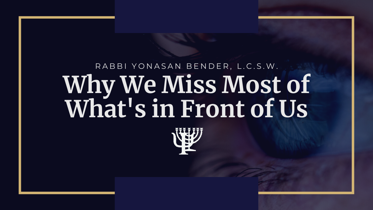 You are currently viewing Video: Why We Miss Most of What’s in Front of Us