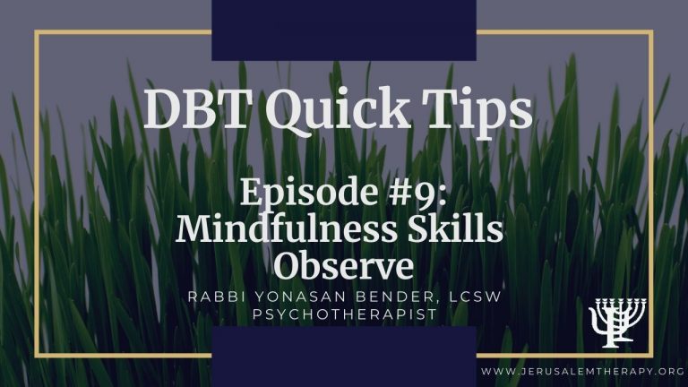 Read more about the article Observe Skill: New Mindfulness Strategy For Calm and Safety